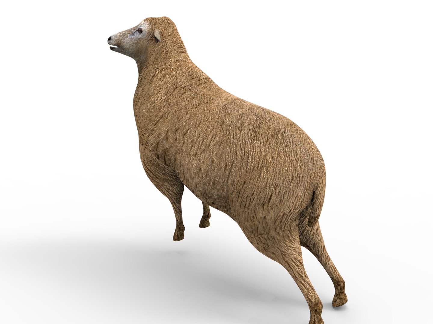 3D black rigged https://p.turbosquid.com/ts-thumb/xM/xHbMSF/SMgaGGRK/untitled.202/jpg/1503390248/1920x1080/fit_q87/d383219a1d27e28271988f211914927b60760f27/untitled.202.jpg
