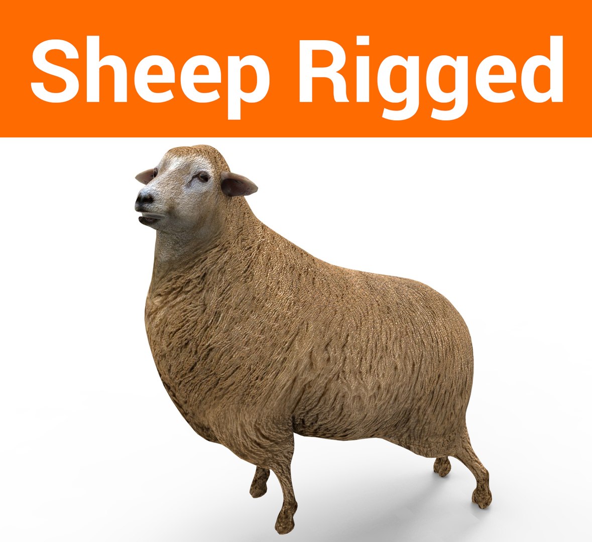 3D black rigged https://p.turbosquid.com/ts-thumb/xM/xHbMSF/Yxs3S39C/untitled.201/jpg/1503390205/1920x1080/fit_q87/30474da0f51a18325bc71b2caf24d464e50b7b7b/untitled.201.jpg