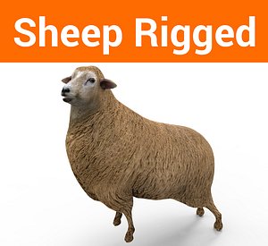 sheep rigged