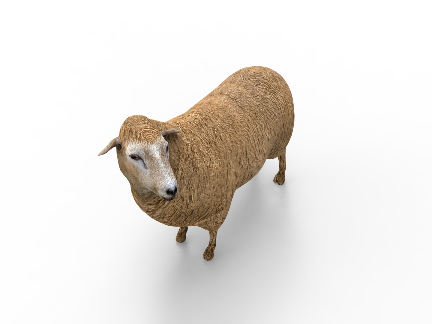 3D black rigged https://p.turbosquid.com/ts-thumb/xM/xHbMSF/uqs3Awfx/untitled.208/jpg/1503390248/1920x1080/fit_q87/5c1eee19aedd19e043eae0e02b1b5d92c46ce148/untitled.208.jpg