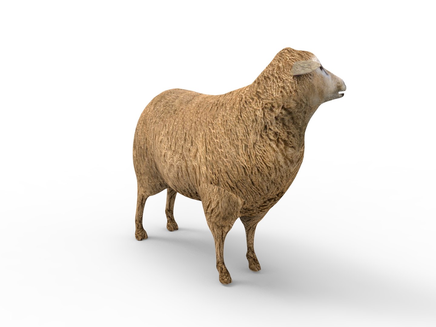 3D black rigged https://p.turbosquid.com/ts-thumb/xM/xHbMSF/z9a6PAWq/untitled.206/jpg/1503390248/1920x1080/fit_q87/07266771878ca26eec92692f8edc559271a92a1b/untitled.206.jpg