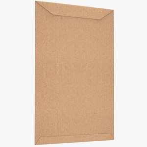 3D Flap Kraft Envelope