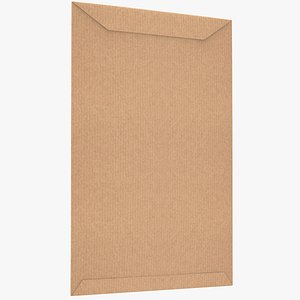 Flap Kraft Envelope