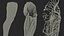 Anatomie und Haut des männlichen Beins