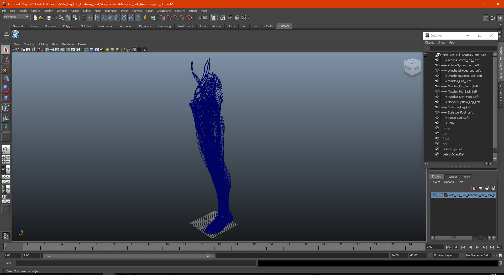 male leg anatomy skin human 3D model https://p.turbosquid.com/ts-thumb/xN/3QVNI7/Xf67ZW8G/malelegfullanatomyandskinmb3dmodel037/jpg/1572432947/1920x1080/fit_q87/66fc0f59bcf527ec4bbbdbf35e470b180b1b4203/malelegfullanatomyandskinmb3dmodel037.jpg