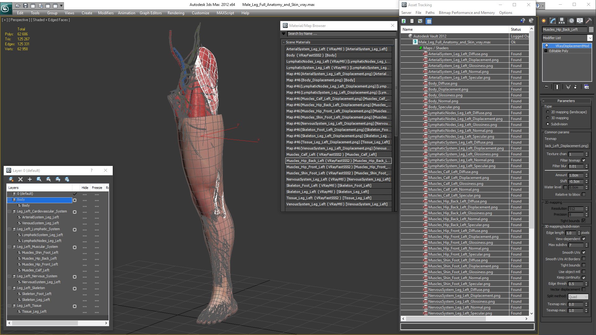 male leg anatomy skin human 3D model https://p.turbosquid.com/ts-thumb/xN/3QVNI7/qrLlUIcb/malelegfullanatomyandskinmb3dmodel039/jpg/1572432958/1920x1080/fit_q87/81803a57e9069976ed79fafce7ac9a94cb88afc3/malelegfullanatomyandskinmb3dmodel039.jpg