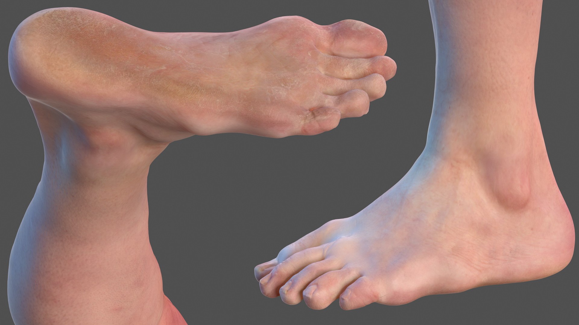 male leg anatomy skin human 3D model https://p.turbosquid.com/ts-thumb/xN/3QVNI7/x9us35TE/malelegfullanatomyandskinmb3dmodel020/jpg/1572432871/1920x1080/fit_q87/97386a85aac4036ccb5393e6c71d1875b61d7068/malelegfullanatomyandskinmb3dmodel020.jpg