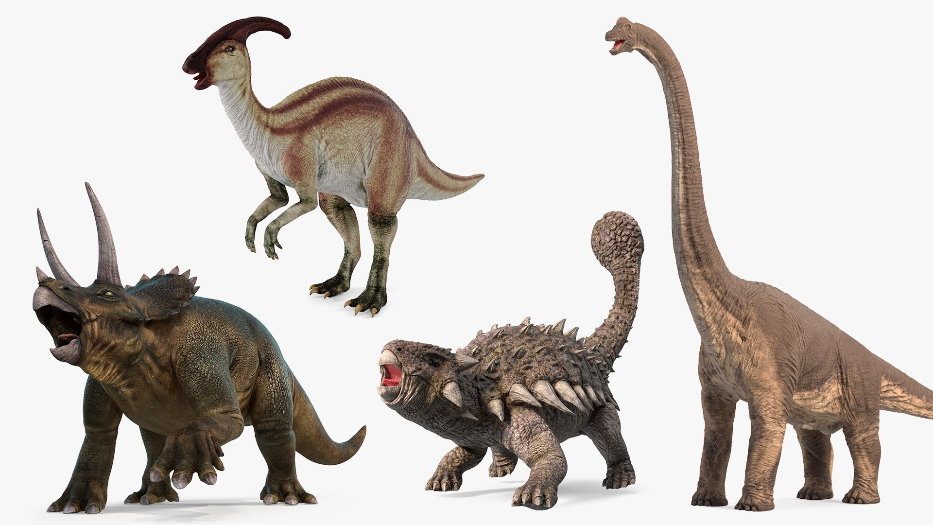 3D model Herbivorous Dinosaurs Collection 2 Rigged for Cinema 4D https://p.turbosquid.com/ts-thumb/xN/80UIjC/ab/rigged_herbivorous_dinosaurs_collection_2_for_cinema_4d_001/jpg/1768156048/1920x1080/fit_q87/2329107360eaea1c83895e24882e1f333a62b74f/rigged_herbivorous_dinosaurs_collection_2_for_cinema_4d_001.jpg