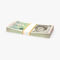 5 Pound Note Pack