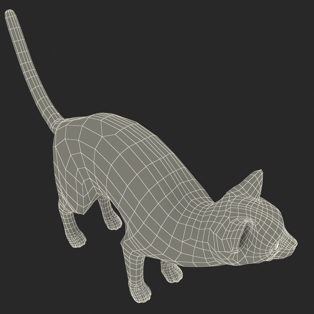 3d model of siamese cat pose 4 https://p.turbosquid.com/ts-thumb/xN/A1mu0B/6cTxavTs/siamesecatpose4fur_175/jpg/1389211229/1920x1080/fit_q87/673a86817400ce6bdea6ad1ba5aa04785a539771/siamesecatpose4fur_175.jpg