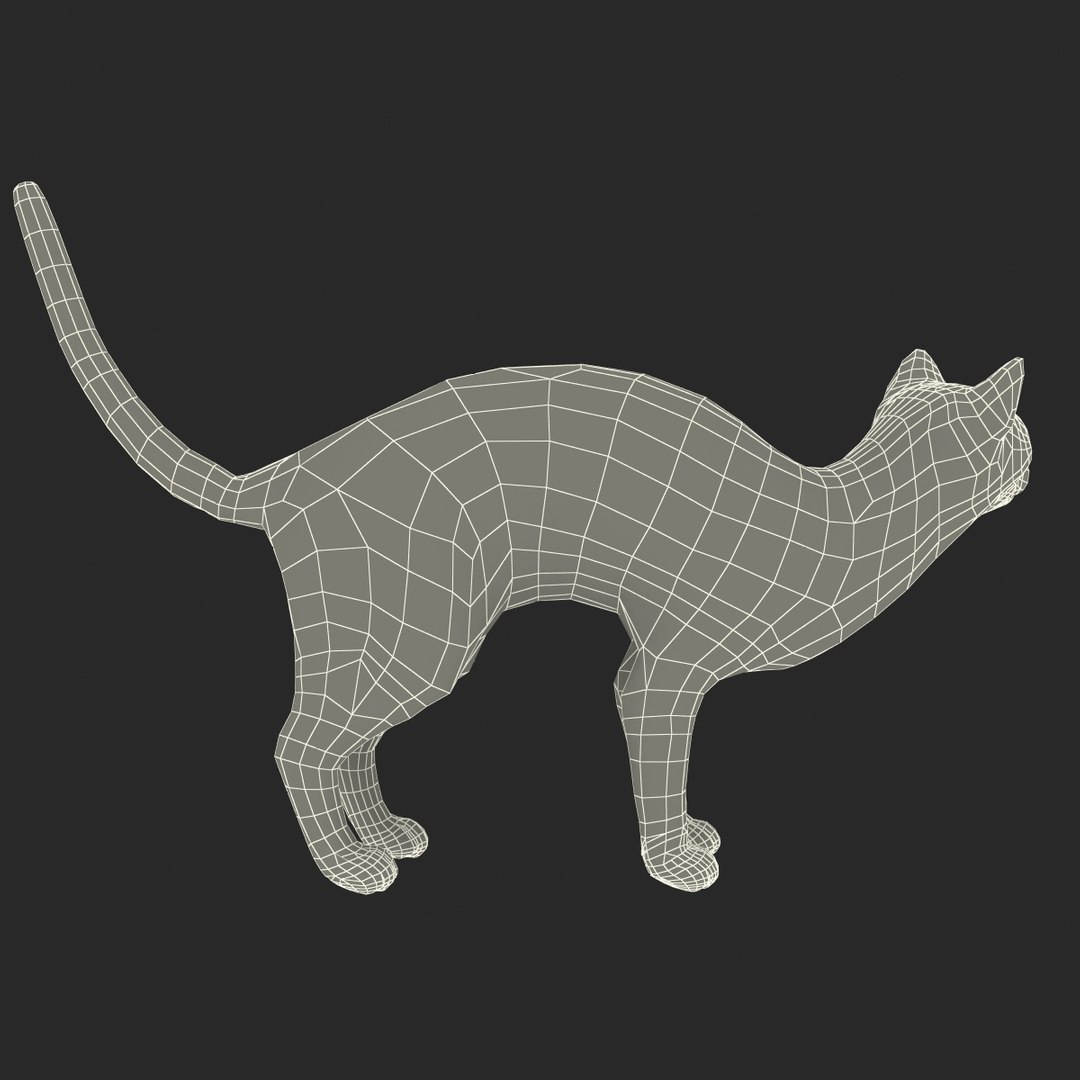 3d model of siamese cat pose 4 https://p.turbosquid.com/ts-thumb/xN/A1mu0B/8aV3Xo3f/siamesecatpose4fur_172/jpg/1389211217/1920x1080/fit_q87/9a3f24d51fab3d4474ba78704aab0e955a85f091/siamesecatpose4fur_172.jpg