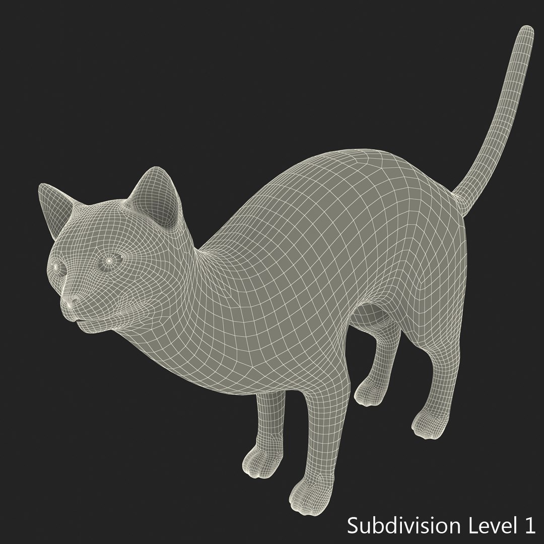 3d model of siamese cat pose 4 https://p.turbosquid.com/ts-thumb/xN/A1mu0B/Bxcoygvf/siamesecatpose4fur_6/jpg/1389210634/1920x1080/fit_q87/0f52c1e6c4aeee6d84d4ebb62c9dda976cfb5375/siamesecatpose4fur_6.jpg
