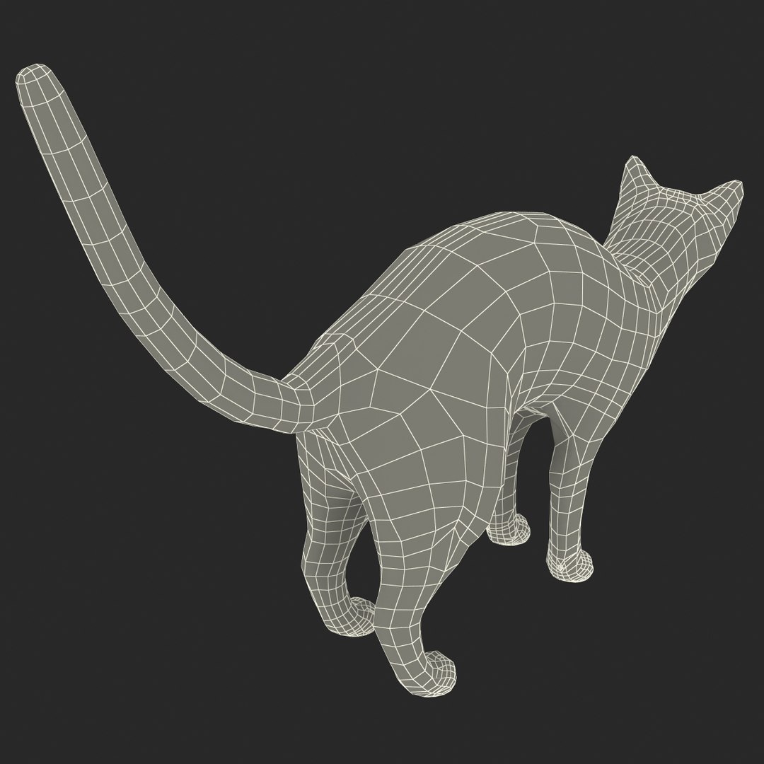 3d model of siamese cat pose 4 https://p.turbosquid.com/ts-thumb/xN/A1mu0B/GEZEvZjr/siamesecatpose4fur_176/jpg/1389211225/1920x1080/fit_q87/eae63fec267e8aaa50306e3126ba21852f45740e/siamesecatpose4fur_176.jpg