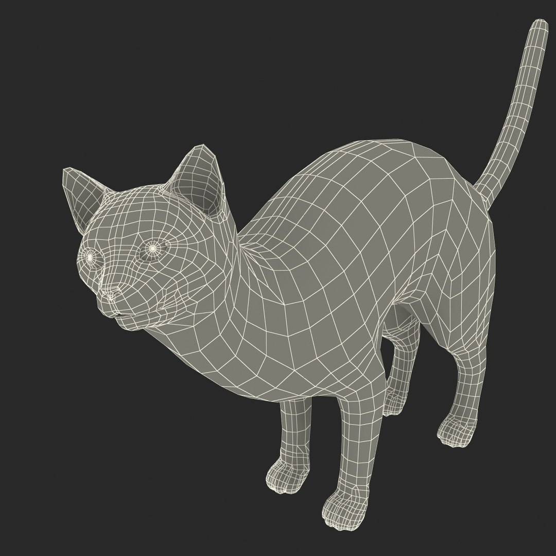3d model of siamese cat pose 4 https://p.turbosquid.com/ts-thumb/xN/A1mu0B/JWd1NPXt/siamesecatpose4fur_173/jpg/1389211221/1920x1080/fit_q87/4642b4e234ef1eedffbad975e94c230c9a8e7b02/siamesecatpose4fur_173.jpg