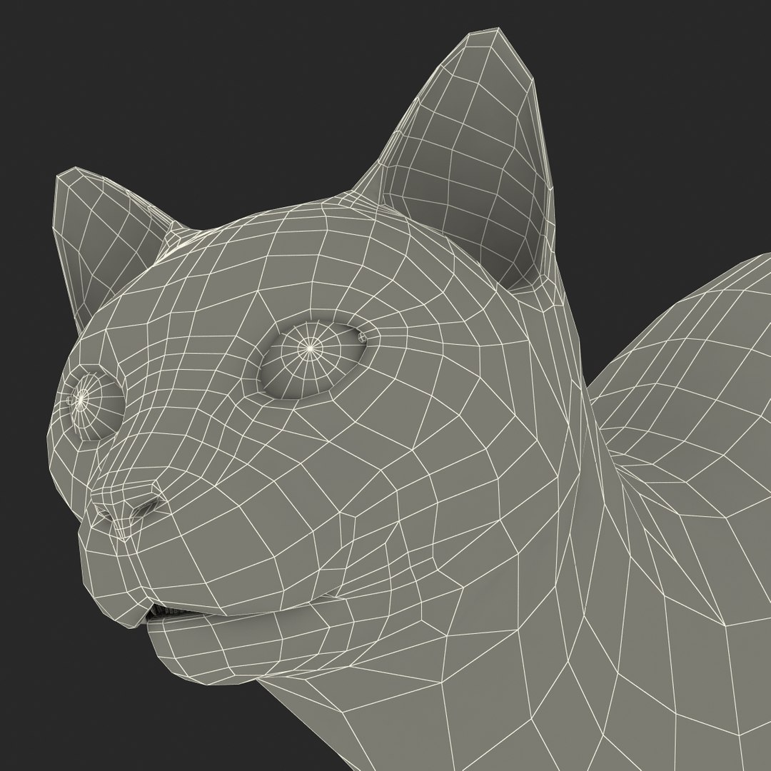 3d model of siamese cat pose 4 https://p.turbosquid.com/ts-thumb/xN/A1mu0B/LcyRftFT/siamesecatpose4fur_180/jpg/1389211246/1920x1080/fit_q87/04577ed6f95472ef36fd1679c1df8cfc7673fa6e/siamesecatpose4fur_180.jpg