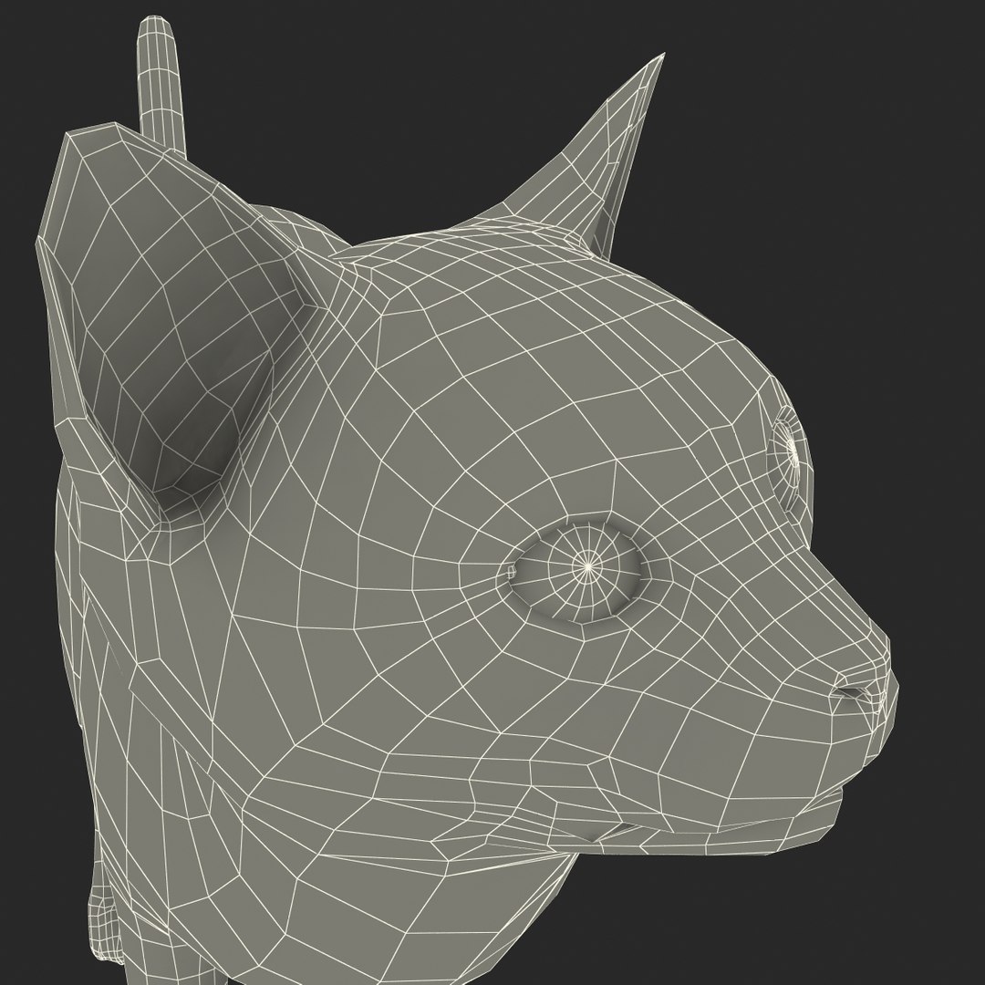 3d model of siamese cat pose 4 https://p.turbosquid.com/ts-thumb/xN/A1mu0B/PqhDBemo/siamesecatpose4fur_181/jpg/1389211244/1920x1080/fit_q87/cce740856ce2893c8bcd94f2a6c2c11721aa97b3/siamesecatpose4fur_181.jpg