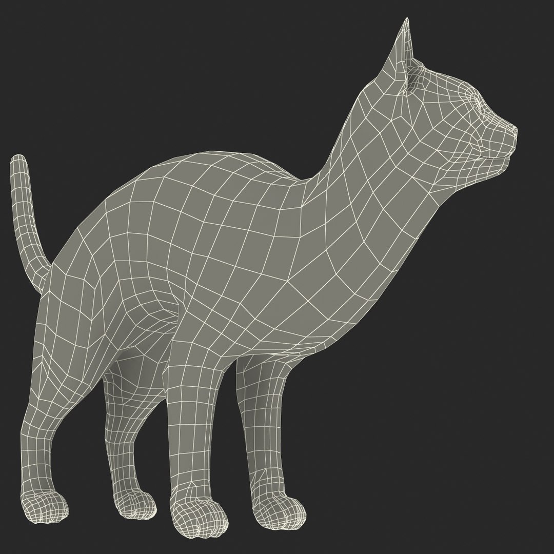3d model of siamese cat pose 4 https://p.turbosquid.com/ts-thumb/xN/A1mu0B/YAGJX7Cq/siamesecatpose4fur_174/jpg/1389211219/1920x1080/fit_q87/fe24ca62ba3dc5e4c1e537743a825742e0e89d09/siamesecatpose4fur_174.jpg