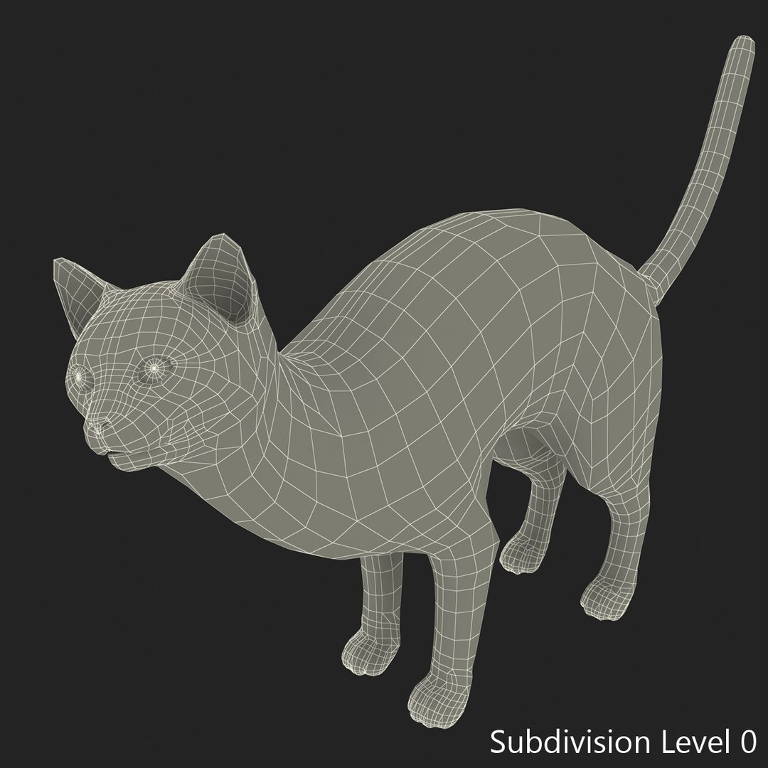 3d model of siamese cat pose 4 https://p.turbosquid.com/ts-thumb/xN/A1mu0B/amQqND9i/siamesecatpose4fur_5/jpg/1389210631/1920x1080/fit_q87/30b343cdfb6746a4c0e7a1474755d97bc5a494bb/siamesecatpose4fur_5.jpg