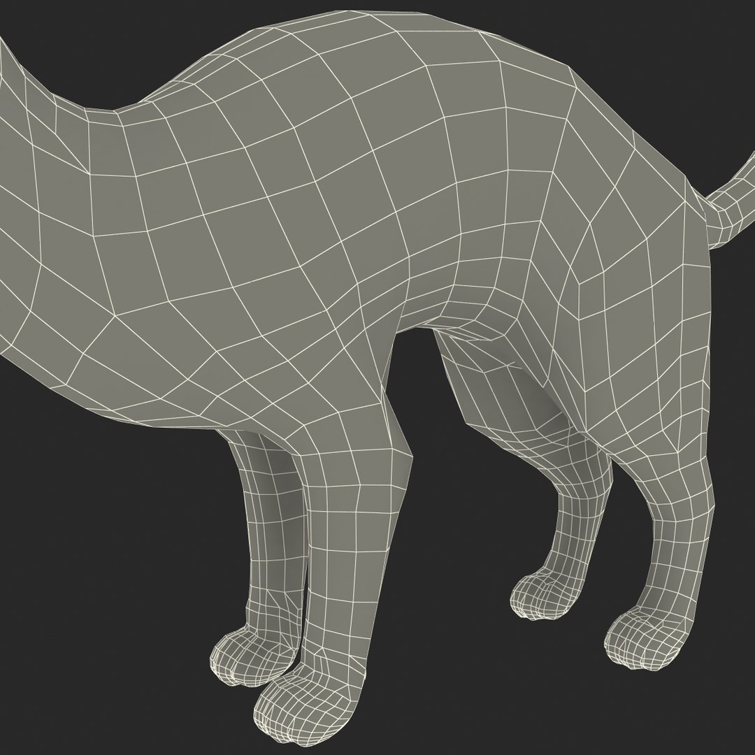 3d model of siamese cat pose 4 https://p.turbosquid.com/ts-thumb/xN/A1mu0B/eWJ4L2AP/siamesecatpose4fur_178/jpg/1389211232/1920x1080/fit_q87/d2b4787c6191d96d99183dd443069a9bae3b5609/siamesecatpose4fur_178.jpg