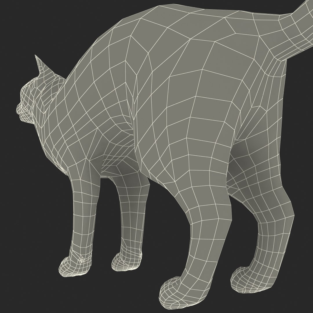 3d model of siamese cat pose 4 https://p.turbosquid.com/ts-thumb/xN/A1mu0B/jWpzO1Wz/siamesecatpose4fur_177/jpg/1389211229/1920x1080/fit_q87/35dd75885efc0fe11c7c23e94426caa73cbbdc6b/siamesecatpose4fur_177.jpg