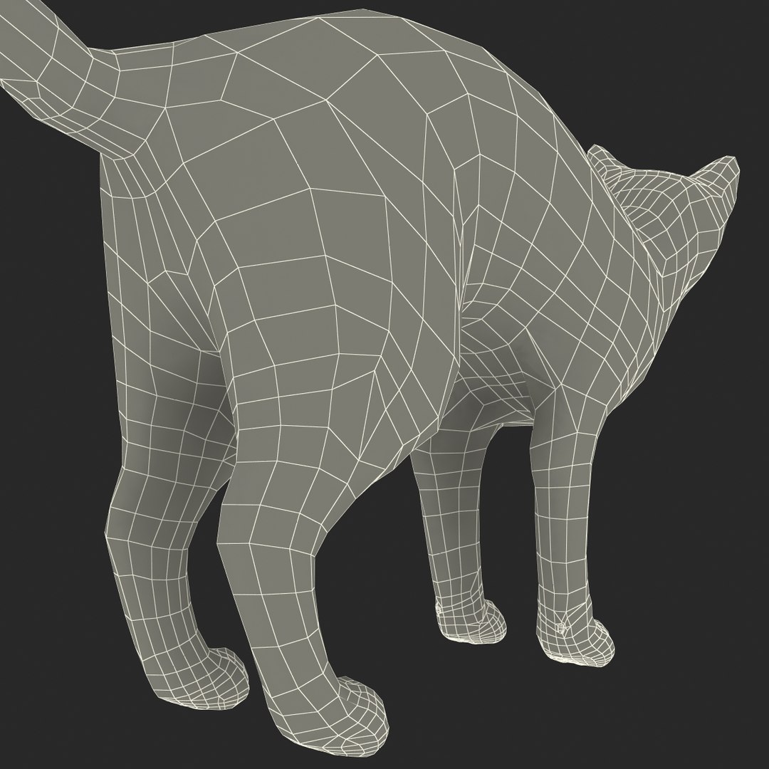 3d model of siamese cat pose 4 https://p.turbosquid.com/ts-thumb/xN/A1mu0B/mmf6zvl2/siamesecatpose4fur_182/jpg/1389211254/1920x1080/fit_q87/fbef8e9da207068c407ce9cf0a7742c546a723b3/siamesecatpose4fur_182.jpg