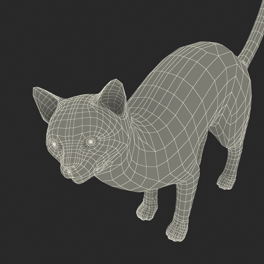 3d model of siamese cat pose 4 https://p.turbosquid.com/ts-thumb/xN/A1mu0B/rVhXR5x6/siamesecatpose4fur_183/jpg/1389211258/1920x1080/fit_q87/c584fa271d7b0ba1d668eee1cd8c73214f21641c/siamesecatpose4fur_183.jpg