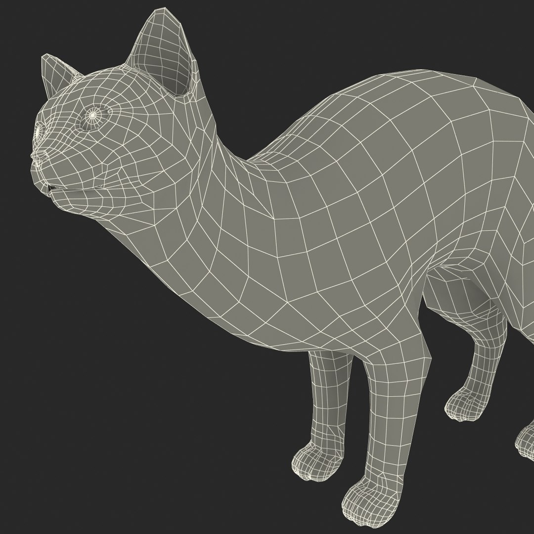 3d model of siamese cat pose 4 https://p.turbosquid.com/ts-thumb/xN/A1mu0B/y3LasIq8/siamesecatpose4fur_179/jpg/1389211242/1920x1080/fit_q87/b94f6c33e9b96563e57522cf288167fffca1af8e/siamesecatpose4fur_179.jpg