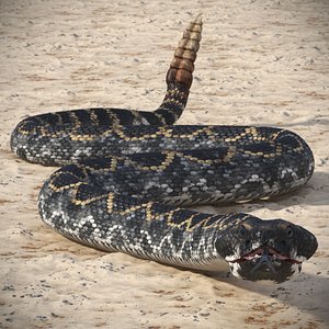 3D Rattlesnake Crawls Animated Rigged model