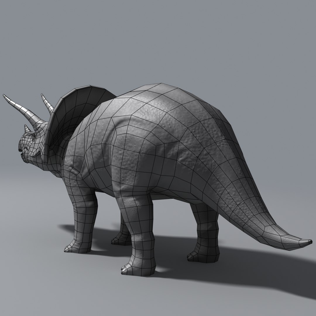 Max Triceratops Cretaceous Ceratopsidae Ceratopsid