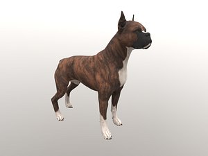 dogs english bulldog 3D