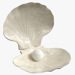 3D ceramic decor sea shell with pearl model