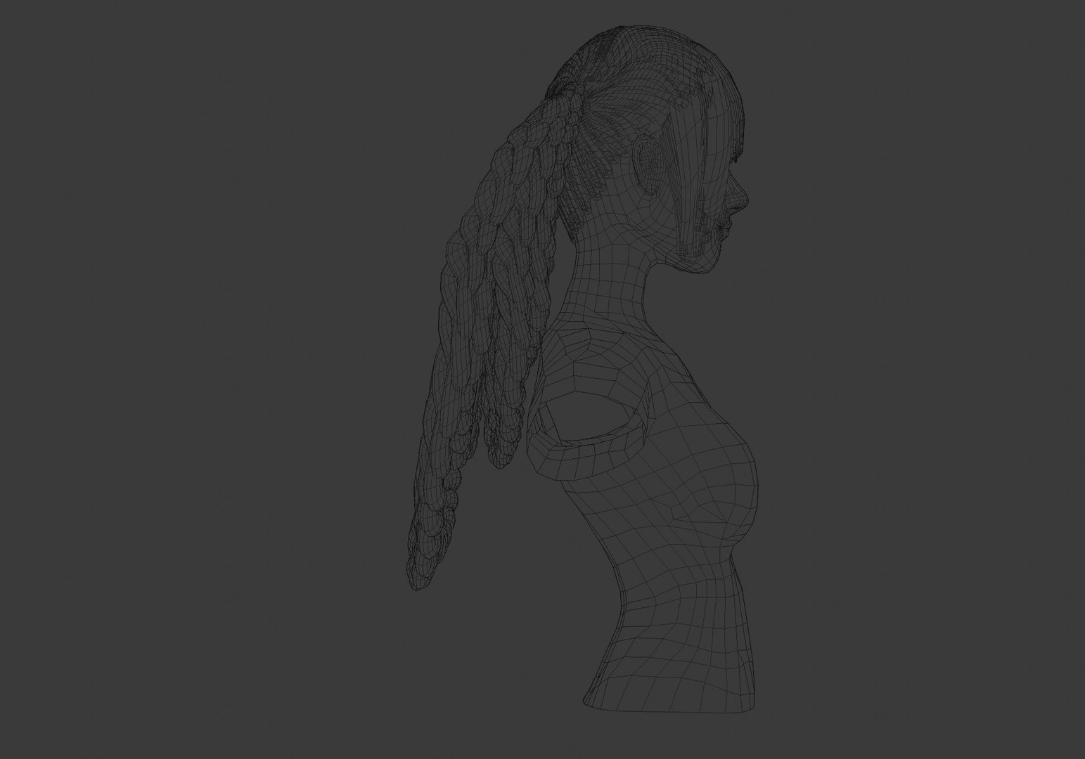 Braids Black Hair 3d Turbosquid 1944447 4785