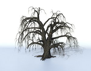 3D model old oak tree