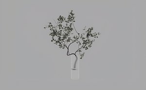 glass vase 3D