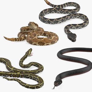 Rigged Snakes Collection 2 for Maya