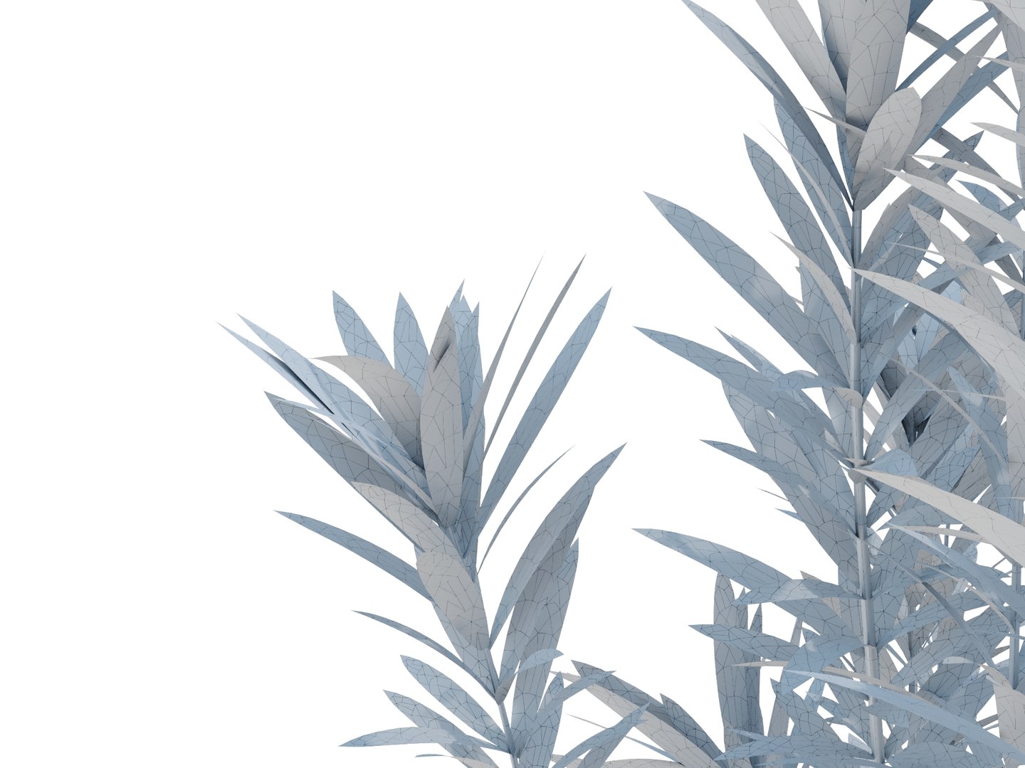 3D dracaena reflexa https://p.turbosquid.com/ts-thumb/xN/fDlucm/7f/dracaenareflexarender05wire/jpg/1700569025/1920x1080/fit_q87/bfe4258c2927de65a2d45cf4be31c48edc914d25/dracaenareflexarender05wire.jpg