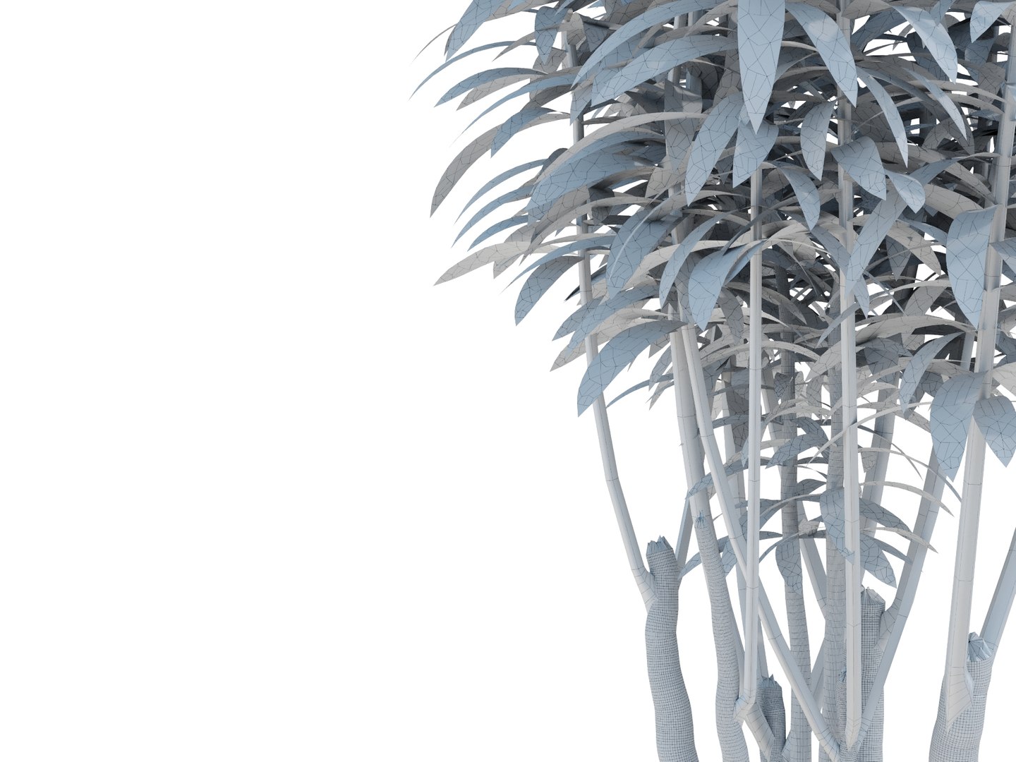 3D dracaena reflexa https://p.turbosquid.com/ts-thumb/xN/fDlucm/HQ/dracaenareflexarender04wire/jpg/1700569025/1920x1080/fit_q87/4f77e7f3fd032dfcc871c9be9936a338b8567d72/dracaenareflexarender04wire.jpg