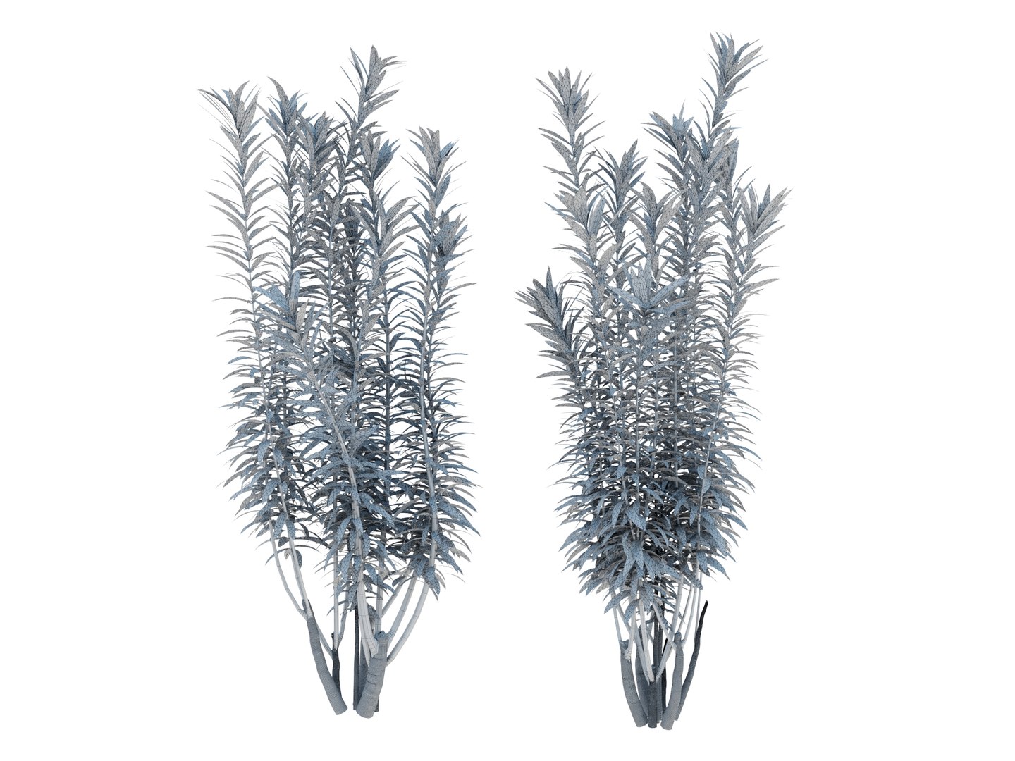 3D dracaena reflexa https://p.turbosquid.com/ts-thumb/xN/fDlucm/Ic/dracaenareflexarender03wire/jpg/1700569023/1920x1080/fit_q87/0e27a306ac4133f9231ce5fd34da5cf11f0c18b0/dracaenareflexarender03wire.jpg