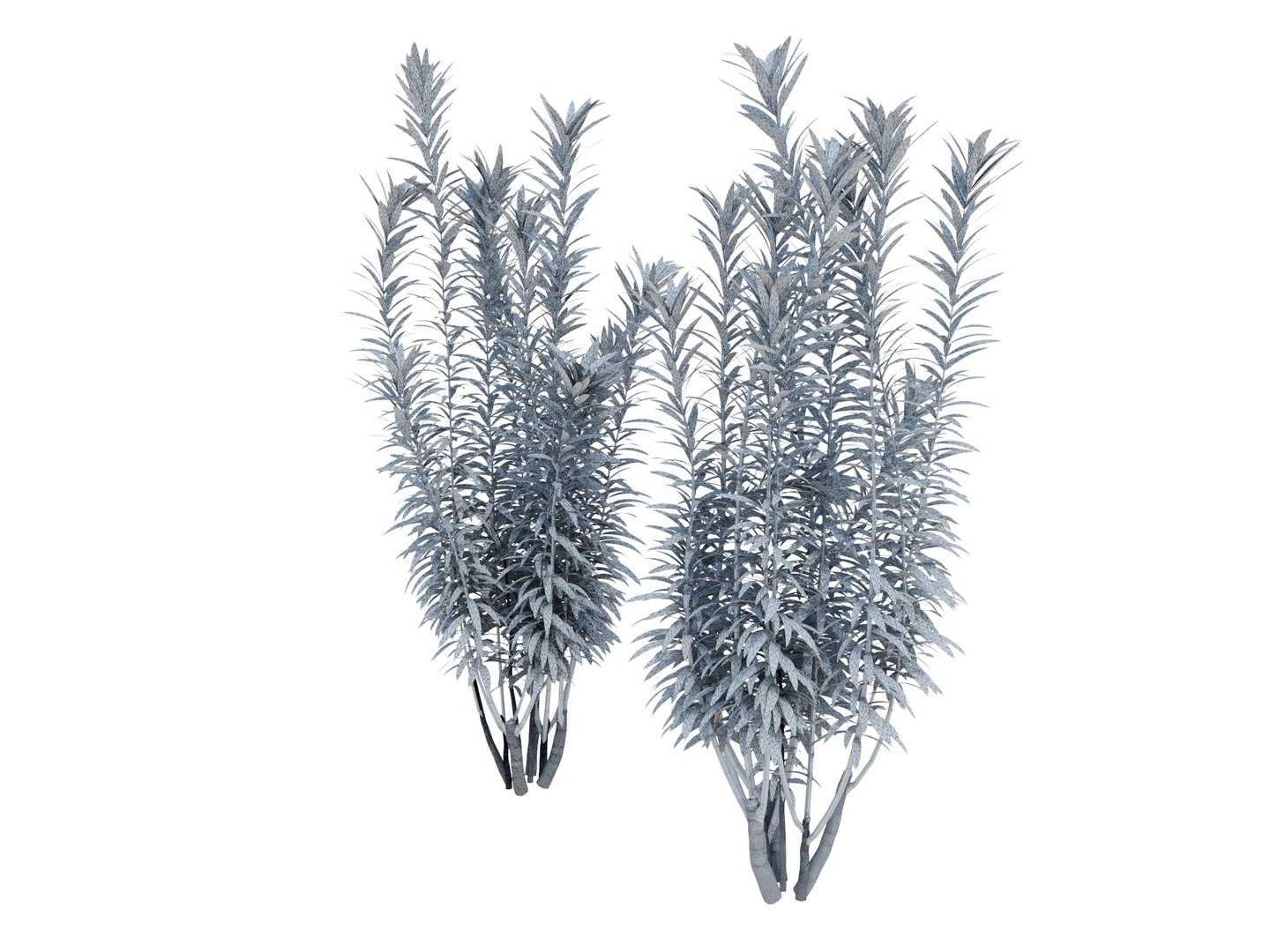 3D dracaena reflexa https://p.turbosquid.com/ts-thumb/xN/fDlucm/iV/dracaenareflexarender01wire/jpg/1700569021/1920x1080/fit_q87/61c1842d1ac3cb89e089f01523a646646434a8f8/dracaenareflexarender01wire.jpg
