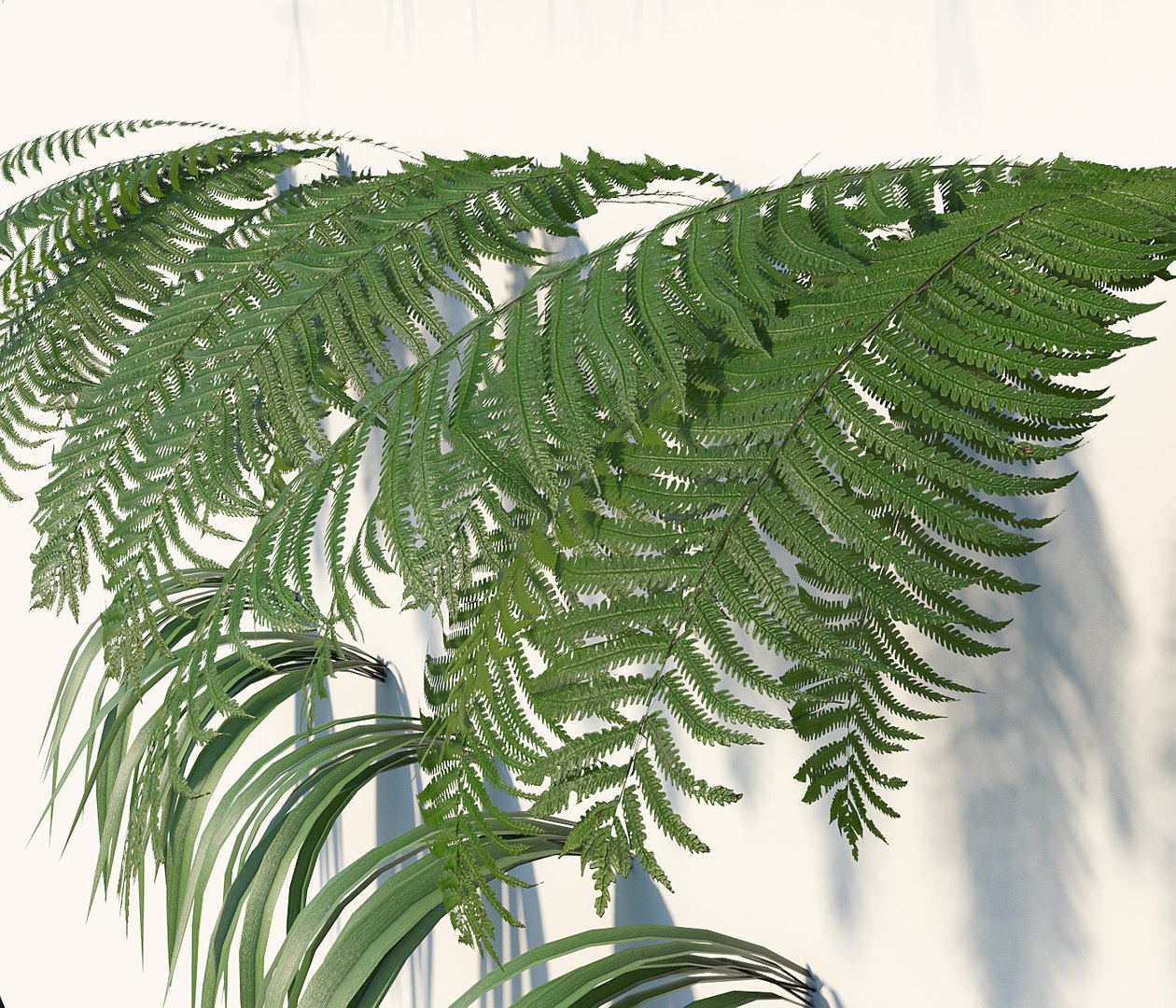 3D vertical gardening https://p.turbosquid.com/ts-thumb/xN/iJ3wzG/NIvSloo9/fitowall0004copy/jpg/1548680073/1920x1080/fit_q87/06eef25b8aa988627be617f5ae738fe001330b75/fitowall0004copy.jpg