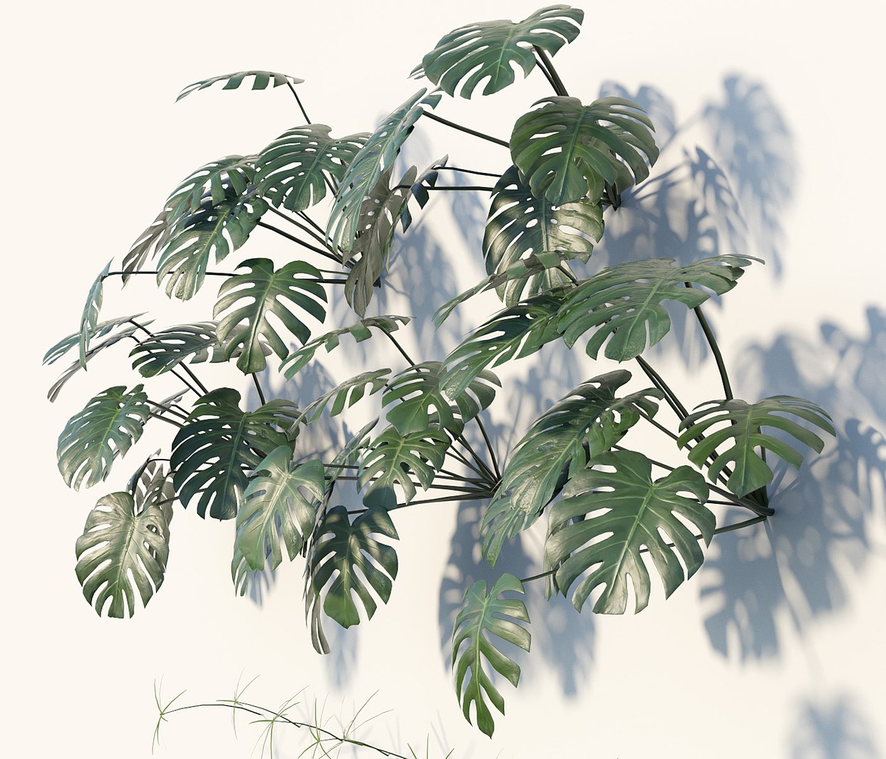 3D vertical gardening https://p.turbosquid.com/ts-thumb/xN/iJ3wzG/bBDK8Pdc/fitowall0001copy/jpg/1548680073/1920x1080/fit_q87/08ef9014246daef2a84f45c8553cd1b676e953bb/fitowall0001copy.jpg