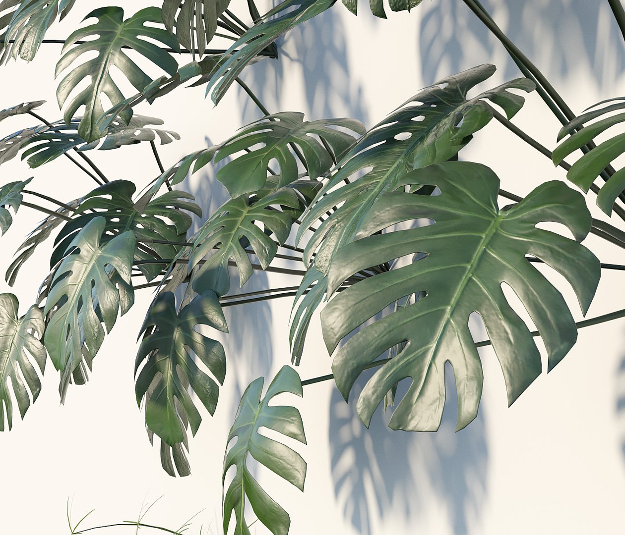 3D vertical gardening https://p.turbosquid.com/ts-thumb/xN/iJ3wzG/ixSbe1ZM/fitowall0003copy/jpg/1548680073/1920x1080/fit_q87/4226a54a7a643a94e0a1fce49bd9c50e76c44cc7/fitowall0003copy.jpg