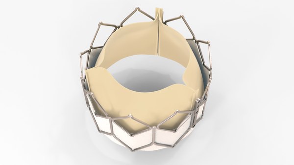 modelo 3d Heart Valve - Artificial aortic valve implant - TurboSquid ...