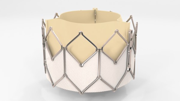 modelo 3d Heart Valve - Artificial aortic valve implant - TurboSquid ...