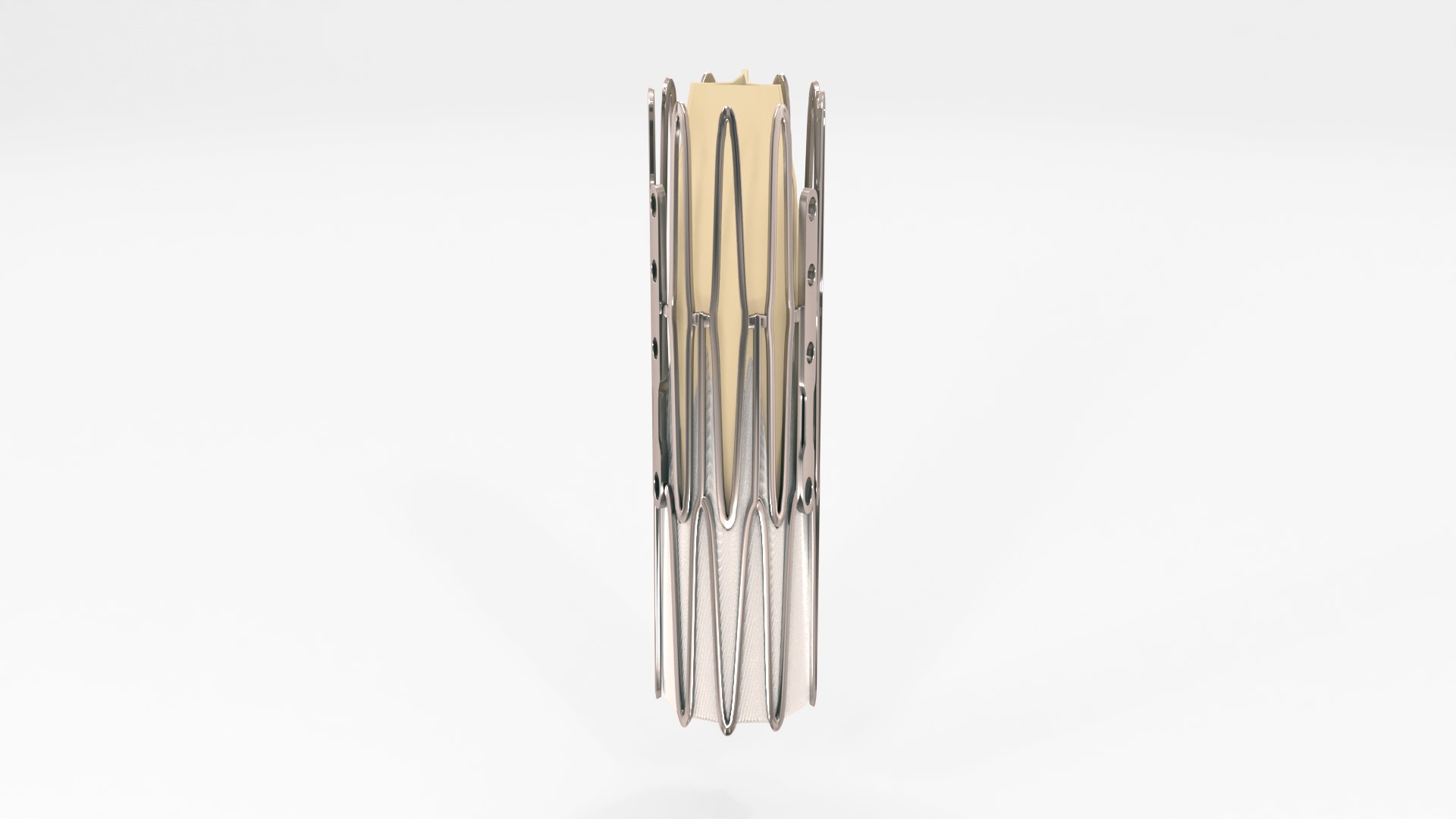 Heart Valve - Artificial Aortic Valve Implant 3D - TurboSquid 2026536