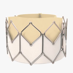 Heart Valve - Artificial aortic valve implant