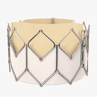 Heart Valve - Artificial aortic valve implant