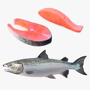 Salmons  Collection