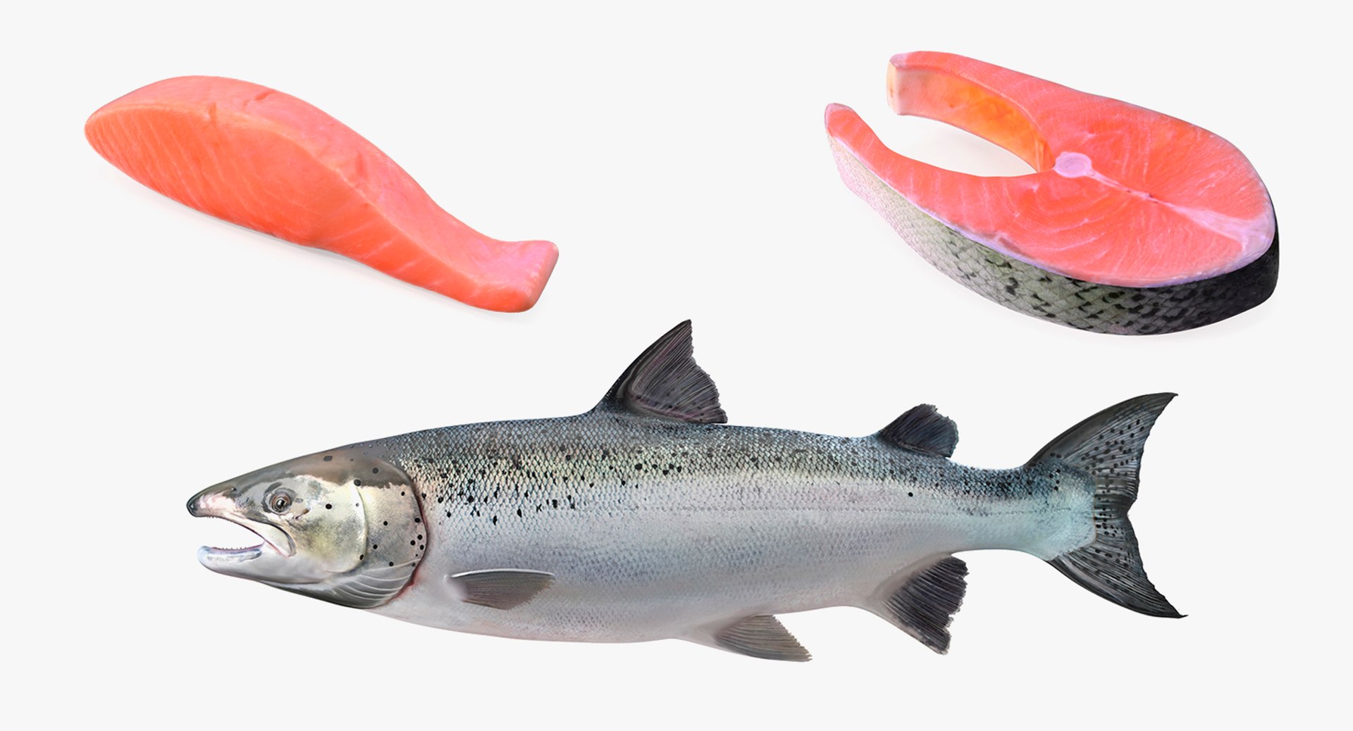 Salmons  Collection 3D model https://p.turbosquid.com/ts-thumb/xN/o3BZ6W/E1/salmonscollection3dmodel001/jpg/1659020134/1920x1080/fit_q87/1ef41fb1bf674b649f0fea232c3a6a8662ba73a7/salmonscollection3dmodel001.jpg
