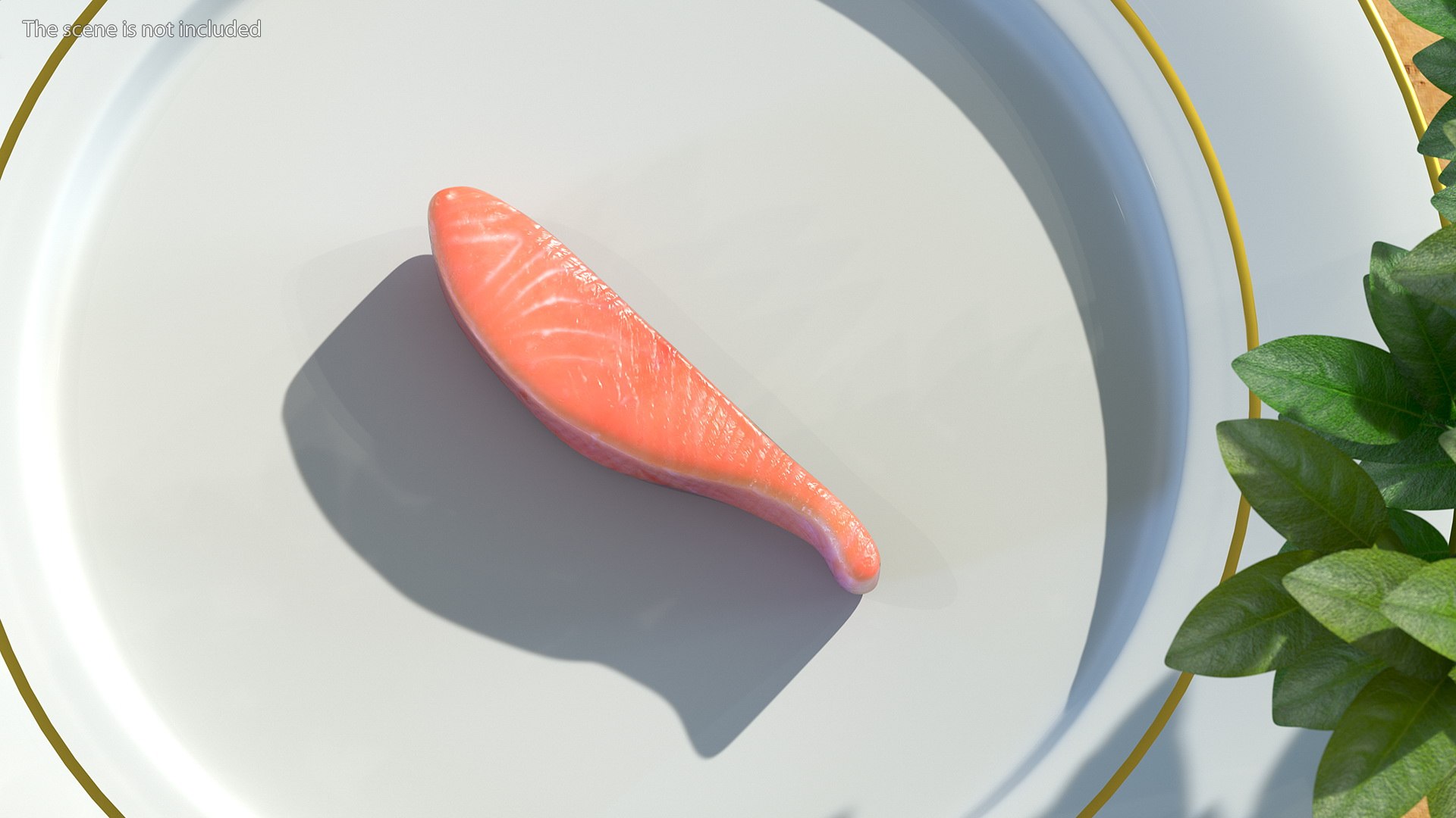 Salmons  Collection 3D model https://p.turbosquid.com/ts-thumb/xN/o3BZ6W/GB/salmonscollection3dmodel014/jpg/1659020176/1920x1080/fit_q87/b58ebbb332a4d2402f27a67bdef5cc99a138c8e4/salmonscollection3dmodel014.jpg